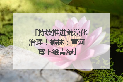 持续推进荒漠化治理！榆林：黄河弯下绘青绿