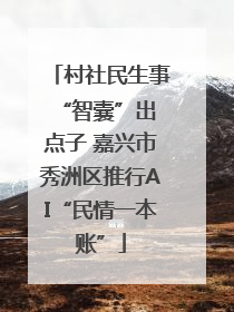 村社民生事 “智囊”出点子 嘉兴市秀洲区推行AI“民情一本账”