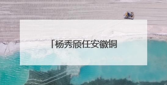 杨秀颀任安徽铜陵市政协党组成员、秘书长人选，曾任枞阳县委书记