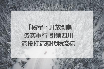 杨军：开放创新 务实重行 引领四川港投打造现代物流标杆｜致敬2024四川经济影响力人物