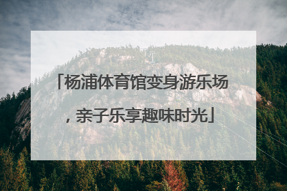 杨浦体育馆变身游乐场，亲子乐享趣味时光