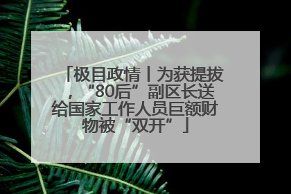 极目政情丨为获提拔，“80后”副区长送给国家工作人员巨额财物被“双开”