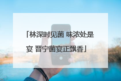 林深时见菌 味浓处是宴 晋宁菌宴正飘香