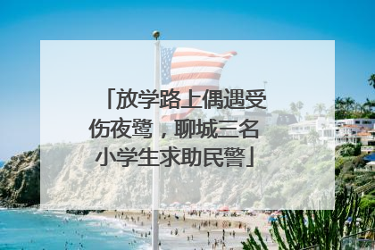 放学路上偶遇受伤夜鹭，聊城三名小学生求助民警