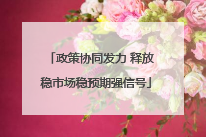 政策协同发力 释放稳市场稳预期强信号