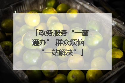 政务服务“一窗通办” 群众烦恼“一站解决”