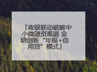 政银联动破解中小微融资难题 金塘创新“年报+信用贷”模式