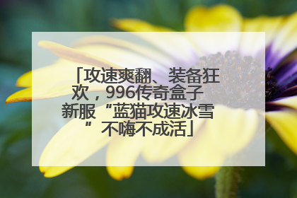 攻速爽翻、装备狂欢，996传奇盒子新服“蓝猫攻速冰雪”不嗨不成活