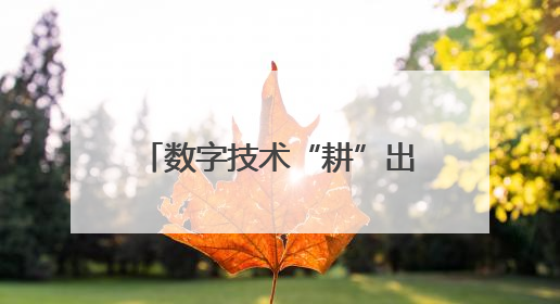数字技术“耕”出乡村新图景：电商助力三产深度融合