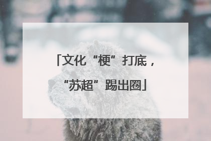 文化“梗”打底，“苏超”踢出圈