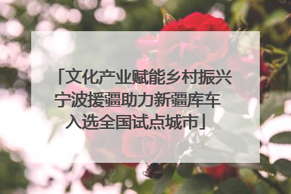 文化产业赋能乡村振兴 宁波援疆助力新疆库车入选全国试点城市