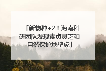 新物种+2！海南科研团队发现素贞灵芝和自然保护地壁虎