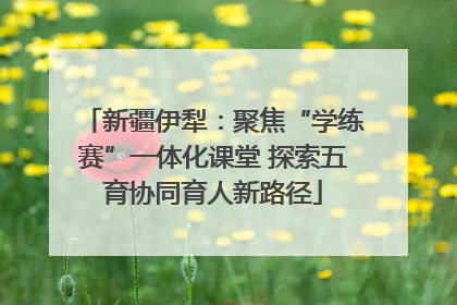 新疆伊犁：聚焦“学练赛”一体化课堂 探索五育协同育人新路径