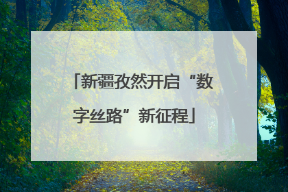 新疆孜然开启“数字丝路”新征程