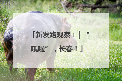 新发路观察+｜“哦啦”，长春！