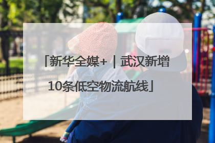 新华全媒+｜武汉新增10条低空物流航线