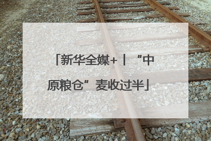 新华全媒+丨“中原粮仓”麦收过半