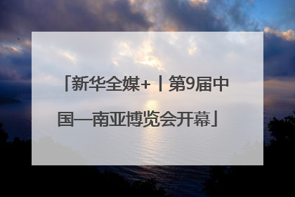 新华全媒+丨第9届中国—南亚博览会开幕