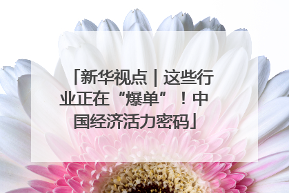 新华视点｜这些行业正在“爆单”！中国经济活力密码