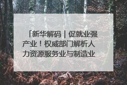 新华解码｜促就业强产业！权威部门解析人力资源服务业与制造业融合发展试点