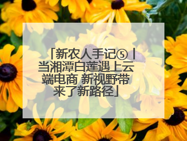 新农人手记⑤丨当湘潭白莲遇上云端电商 新视野带来了新路径