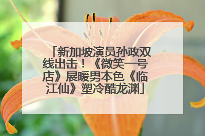 新加坡演员孙政双线出击！《微笑一号店》展暖男本色《临江仙》塑冷酷龙渊