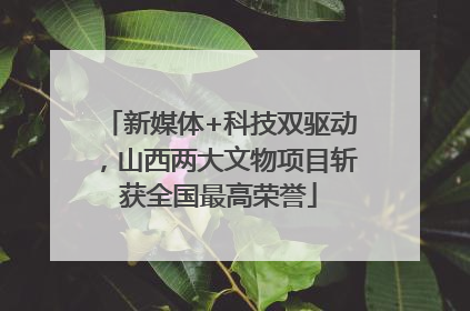新媒体+科技双驱动，山西两大文物项目斩获全国最高荣誉
