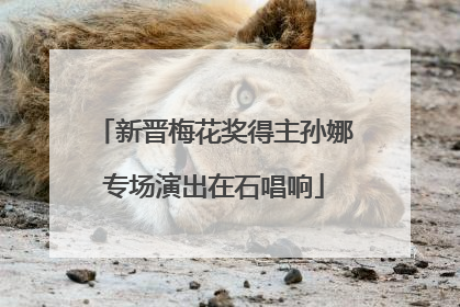 新晋梅花奖得主孙娜专场演出在石唱响
