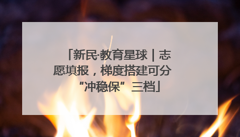 新民·教育星球｜志愿填报，梯度搭建可分“冲稳保”三档