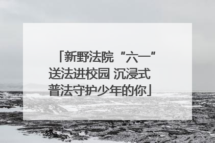 新野法院“六一”送法进校园 沉浸式普法守护少年的你