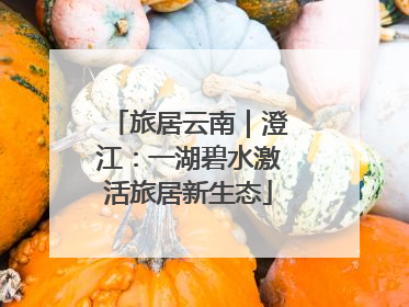 旅居云南｜澄江：一湖碧水激活旅居新生态