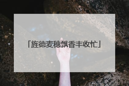 旌德麦穗飘香丰收忙