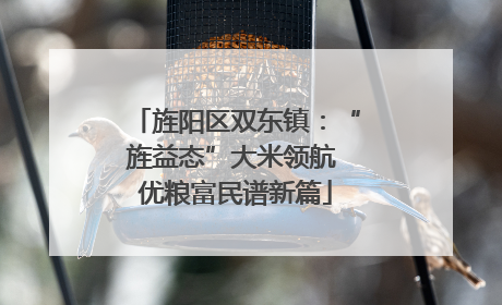 旌阳区双东镇：“旌益态”大米领航 优粮富民谱新篇
