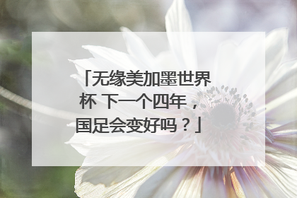 无缘美加墨世界杯 下一个四年，国足会变好吗？
