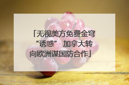 无视美方免费金穹“诱惑” 加拿大转向欧洲谋国防合作
