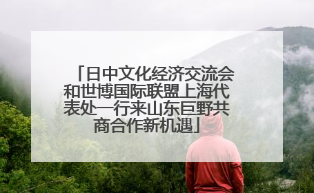 日中文化经济交流会和世博国际联盟上海代表处一行来山东巨野共商合作新机遇