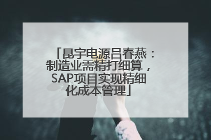 昆宇电源吕春燕：制造业需精打细算，SAP项目实现精细化成本管理
