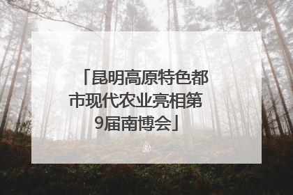 昆明高原特色都市现代农业亮相第9届南博会