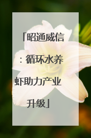 昭通威信：循环水养虾助力产业升级