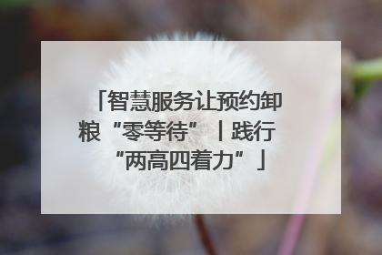 智慧服务让预约卸粮“零等待”丨践行“两高四着力”