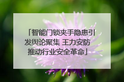 智能门锁夹手隐患引发舆论聚集 王力安防推动行业安全革命