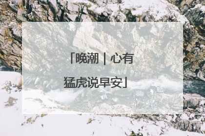晚潮｜心有猛虎说早安