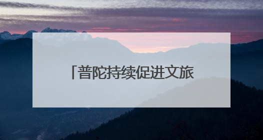 普陀持续促进文旅商体展深度融合，激活区域消费活力