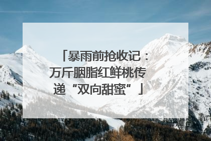 暴雨前抢收记：万斤胭脂红鲜桃传递“双向甜蜜”