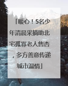 暖心！5名少年清晨采摘助北宅孤寡老人售杏，多方善意传递城市温情