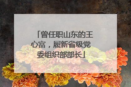 曾任职山东的王心富，履新省级党委组织部部长