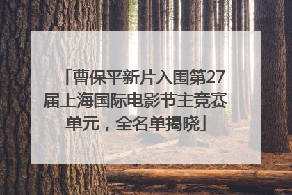 曹保平新片入围第27届上海国际电影节主竞赛单元，全名单揭晓