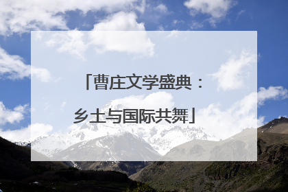 曹庄文学盛典：乡土与国际共舞