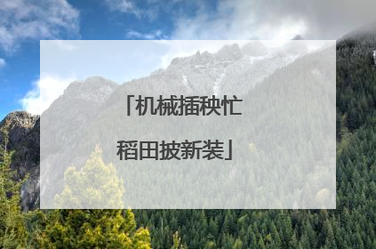 机械插秧忙 稻田披新装