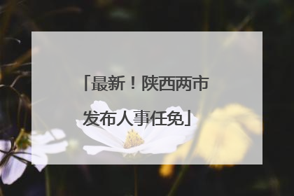 最新！陕西两市发布人事任免